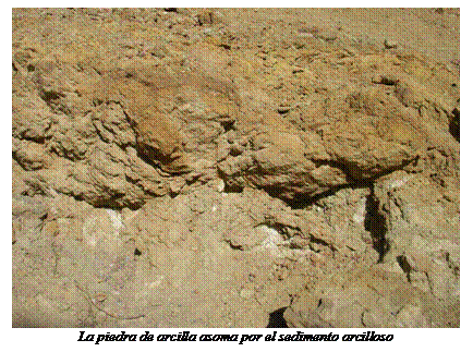 Cuadro de texto:    La piedra de arcilla asoma por el sedimento arcilloso  